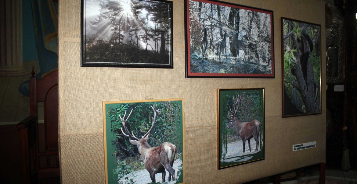 Expoziţie de fotografie